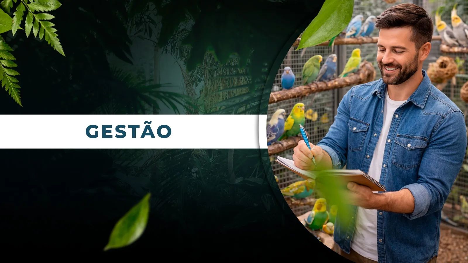 GESTÃO
