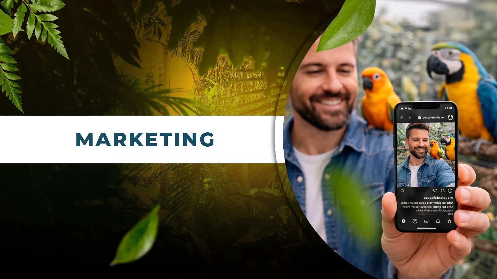 MARKETING APLICADO A CRIAÇÃO